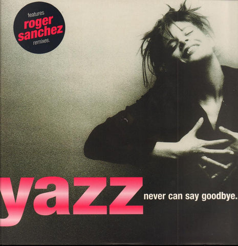 Never Can Say Goodbye-East West-12" Vinyl P/S