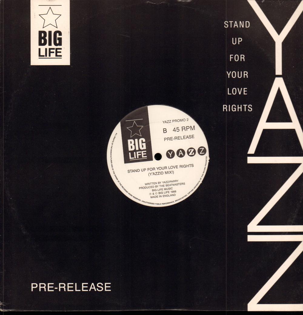 Stand Up For Your Life Rights-Big Life-12" Vinyl