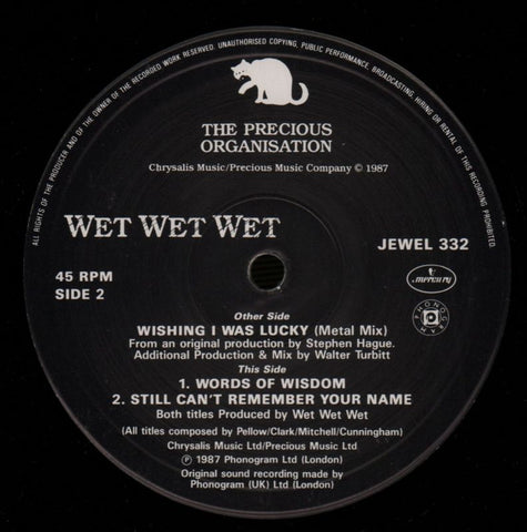 Wishing I Was Lucky-The Precious Organisation-12" Vinyl-VG+/Ex