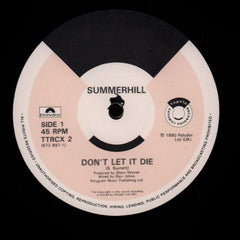 Don't Let It Die-Polydor-12" Vinyl-VG/NM