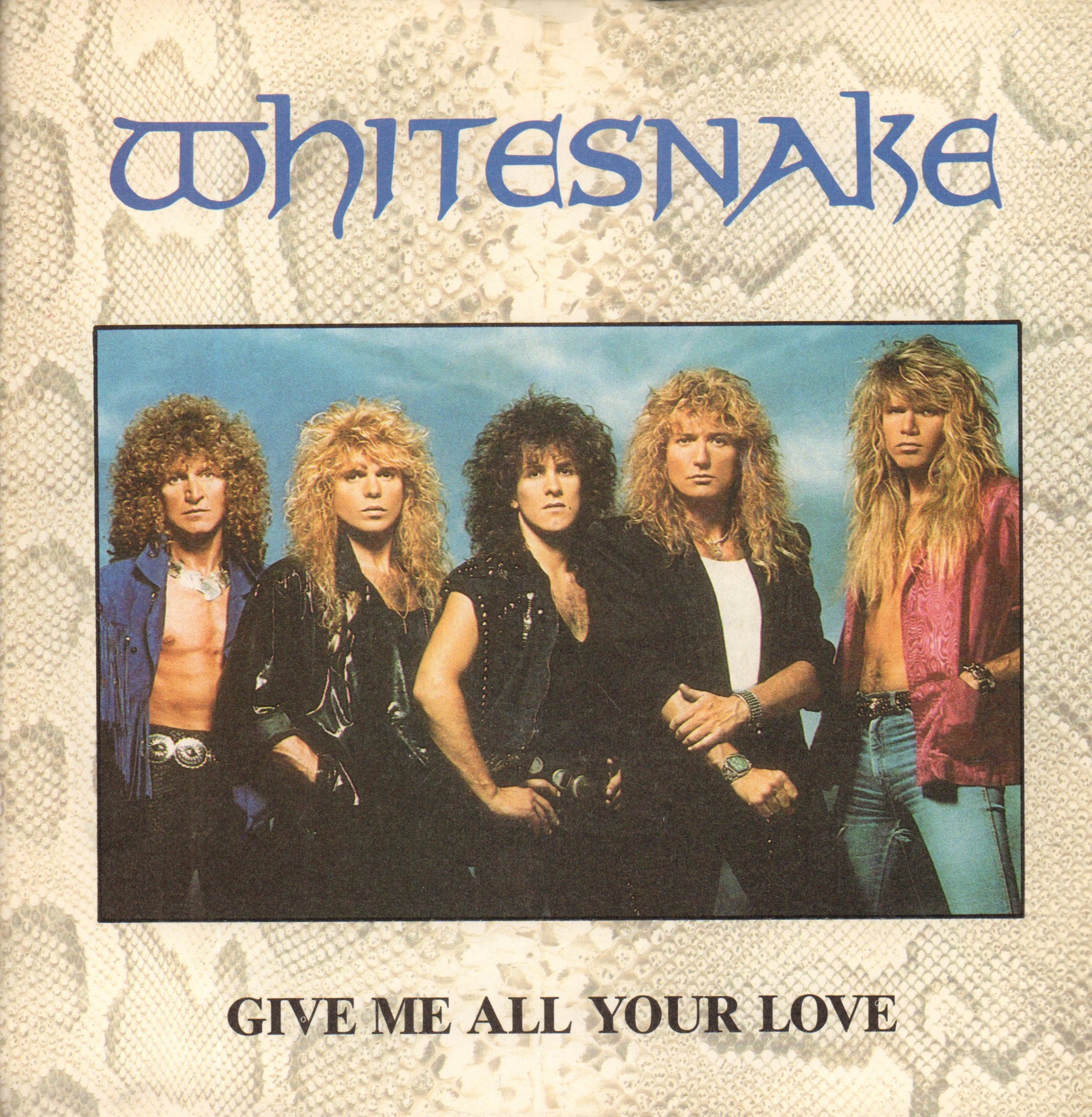 Whitesnake-Give Me All Your Love-7" Vinyl P/S