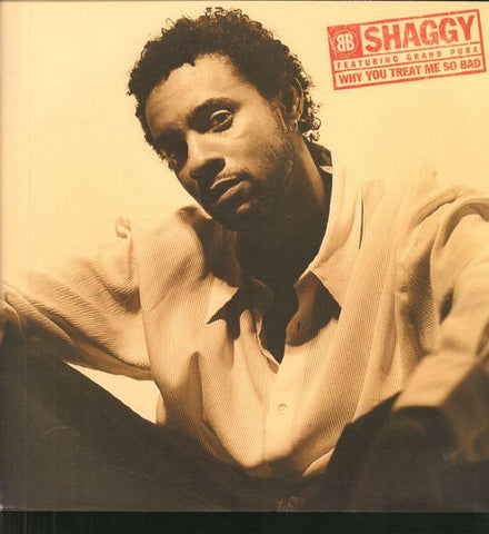 Shaggy-Why You Treat Me So Bad-12" Vinyl P/S